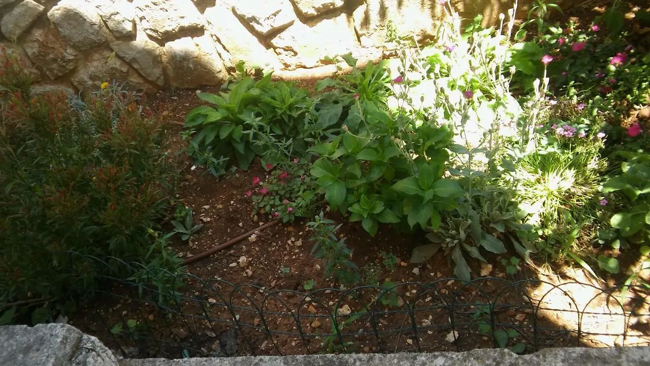 Apartmani Vitkovic II Cres
